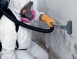 Professional Mold Removal in Rosanky, TX